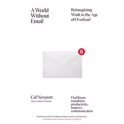 ISBN A World Without Email, English, Paperback, 320 pages