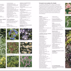 ISBN RHS Encyclopedia Of Plants and Flowers book House & garden English Hardcover 744 pages
