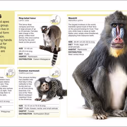 ISBN Animals book Children & teenagers English Paperback 160 pages