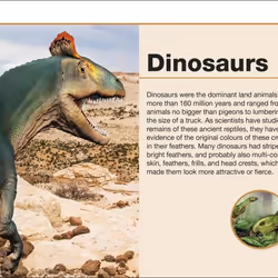 ISBN Pocket Eyewitness Dinosaurs book English Paperback 160 pages