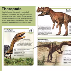 ISBN Pocket Eyewitness Dinosaurs book English Paperback 160 pages
