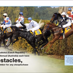 ISBN Pocket Eyewitness Horses book Children & teenagers English Paperback 160 pages