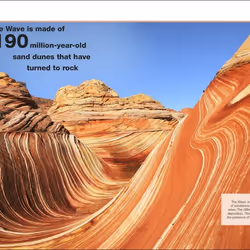 ISBN Pocket Eyewitness Rocks and Minerals book Educational English Paperback 160 pages