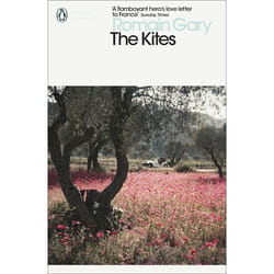 ISBN The Kites book General novel English Paperback 320 pages