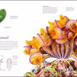 ISBN The Science of Animals book Science & nature English Hardcover 336 pages
