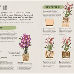 ISBN Happy Orchid book House & garden English Hardcover 144 pages