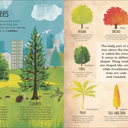 ISBN RHS The Magic and Mystery of Trees book Educational English Hardcover 80 pages