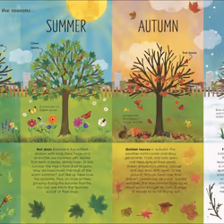 ISBN RHS The Magic and Mystery of Trees book Educational English Hardcover 80 pages