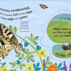 ISBN RHS How Does a Butterfly Grow? book Children & teenagers English Hardcover 18 pages
