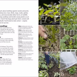 ISBN Allotment Month By Month book House & garden English Hardcover 352 pages