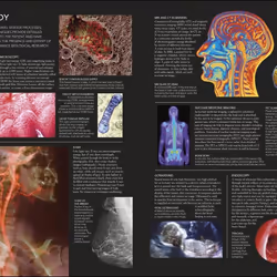 ISBN The Human Body book Educational English Hardcover 288 pages