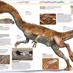 ISBN Knowledge Encyclopedia Dinosaur! book Dinosaurs English Hardcover 208 pages