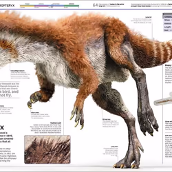 ISBN Knowledge Encyclopedia Dinosaur! book Dinosaurs English Hardcover 208 pages