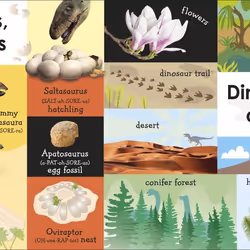 ISBN 100 First Dinosaur Words book Educational English Hardcover 16 pages