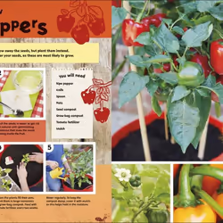 ISBN RHS Let's Get Gardening book Children & teenagers English Paperback 128 pages