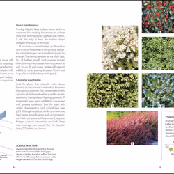 ISBN RHS Your Wellbeing Garden book House & garden English Hardcover 224 pages