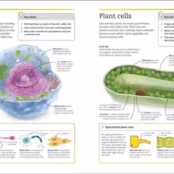 ISBN Super Simple Biology book Science & nature English Paperback 288 pages