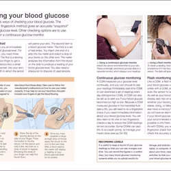 ISBN The Diabetes Handbook book English Paperback 208 pages