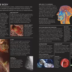 ISBN The Concise Human Body book Educational English Paperback 320 pages