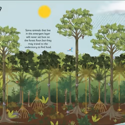ISBN The Rainforest book Children & teenagers English Hardcover 48 pages