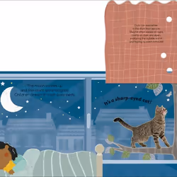 ISBN Flip Flap Find! Night-time Animals book Children & teenagers English Hardcover 20 pages