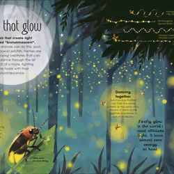 ISBN The of Brilliant Bugs book Children & teenagers English Hardcover 80 pages