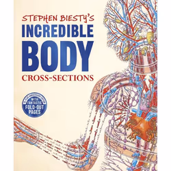 ISBN Stephen Biesty's Incredible Body Cross-Sections, Biology, English, Hardcover, 32 pages
