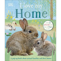 ISBN I Love My Home book Children & teenagers English Hardcover 10 pages