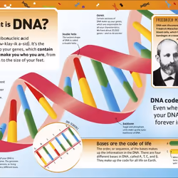ISBN The DNA book Biology English Hardcover 72 pages