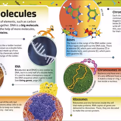 ISBN The DNA book Biology English Hardcover 72 pages