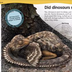 ISBN Does a Dinosaur Roar? book Dinosaurs English Hardcover 144 pages