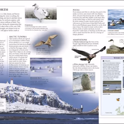 ISBN RSPB Complete Birds of Britain and Europe book Science & nature English Hardcover 512 pages