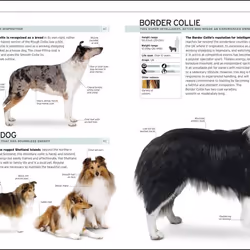 ISBN The Complete Dog Breed book Educational English Hardcover 352 pages