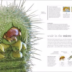 ISBN Micro Life book Educational English Hardcover 336 pages