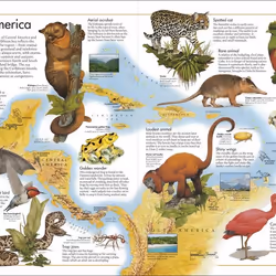ISBN The Animal Atlas book Children & teenagers English Hardcover 64 pages