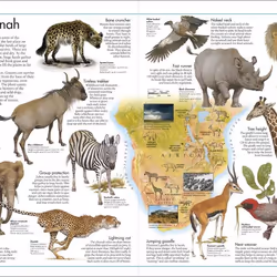 ISBN The Animal Atlas book Children & teenagers English Hardcover 64 pages