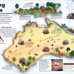 ISBN What's Where on Earth? Animal Atlas book Children & teenagers English Hardcover 160 pages