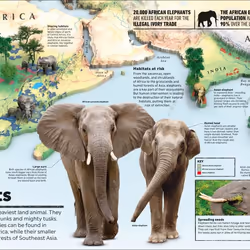 ISBN What's Where on Earth? Animal Atlas book Children & teenagers English Hardcover 160 pages