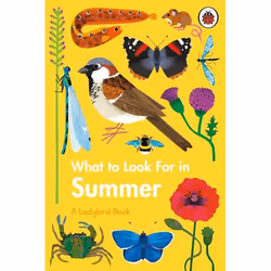 ISBN What to Look For in Summer, English, 48 pages