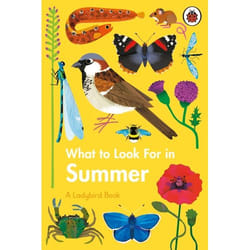 ISBN What to Look For in Summer book English 48 pages