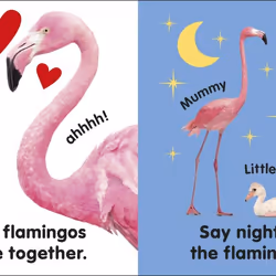 ISBN Baby Touch and Feel Flamingo book Children & teenagers English Hardcover 14 pages