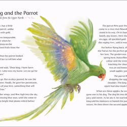 ISBN Mischief & Magic: Enchanting Tales of India book Art & design English Hardcover 144 pages