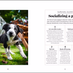 ISBN What's My Dog Thinking? book Science & nature English Hardcover 192 pages