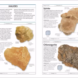 ISBN Rocks & Minerals book Educational English Paperback 256 pages