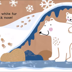 ISBN Where Are You Polar Bear? book Children & teenagers English Hardcover 14 pages