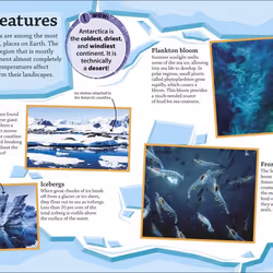 ISBN DKfindout! Oceans book Educational English Paperback 64 pages
