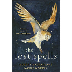 ISBN The Lost Spells book English 240 pages