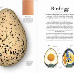 ISBN Nature's Treasures book Educational English Hardcover 192 pages