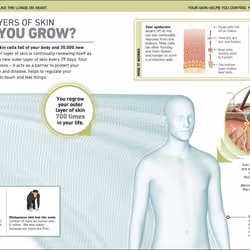 ISBN It Can't Be True! Human Body! book Biology English Hardcover 176 pages