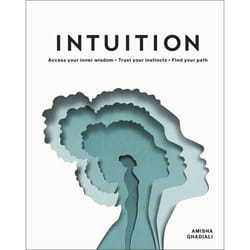 ISBN Intuition book English Hardcover 192 pages